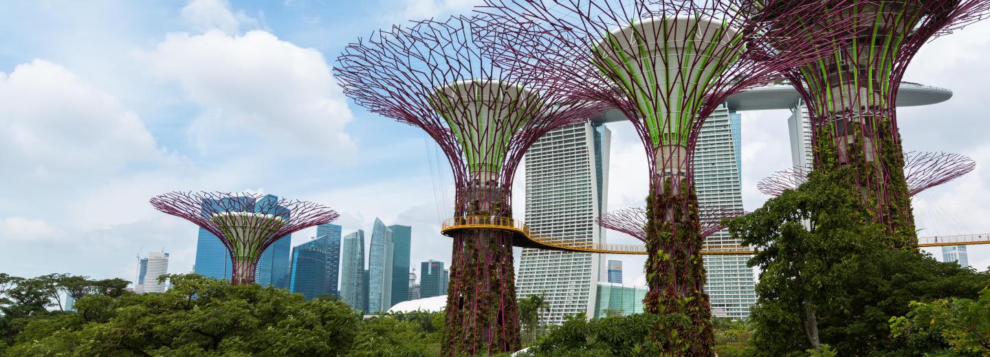 Südostasien - Kreuzfahrt & Silvester in Singapur