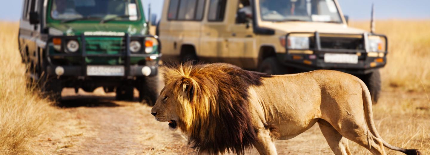 Kenia - Im Reich der Big Five - Rundreise, Safari & Baden