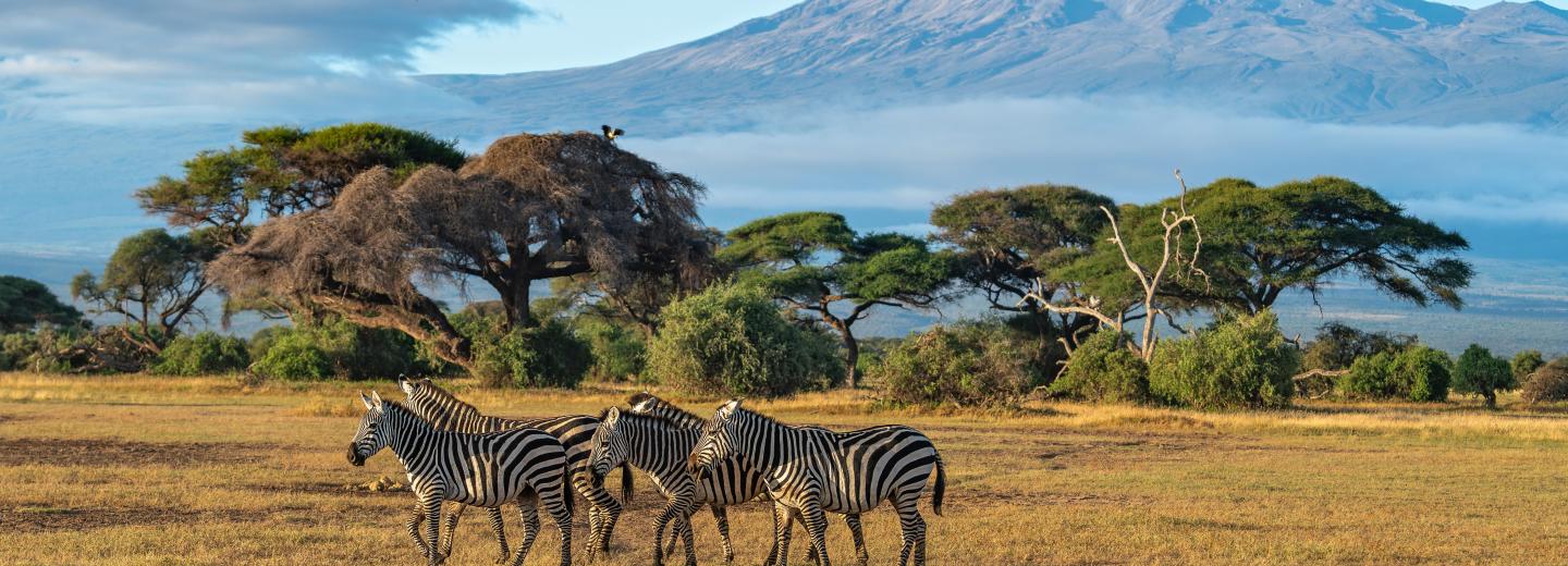 Amboseli-Nationalpark