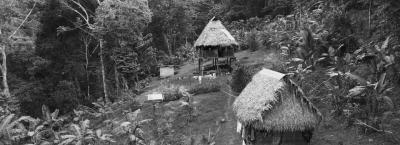 9835595/large-aerial-view-of-embera-puru-biakiru-traditional-houses-chilibre-district-panama-province-panam-_1773668593569.jpg