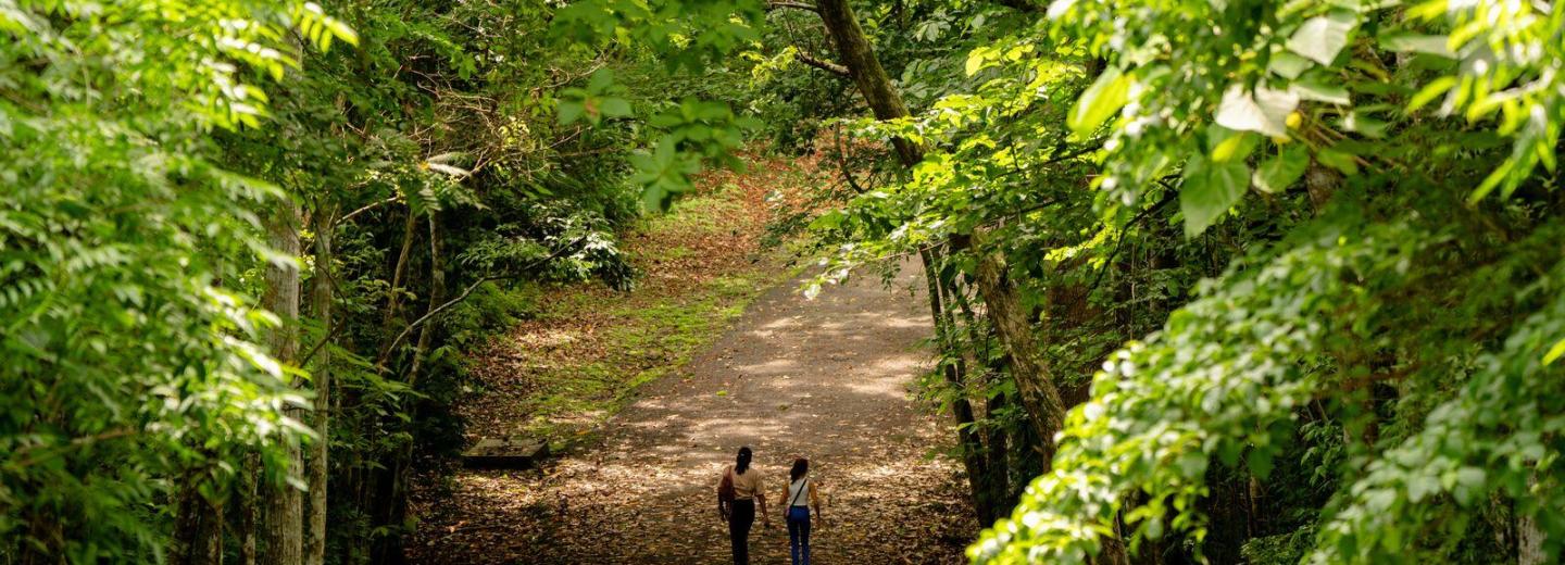 Metropolitano Nemzeti Park, Panamaváros