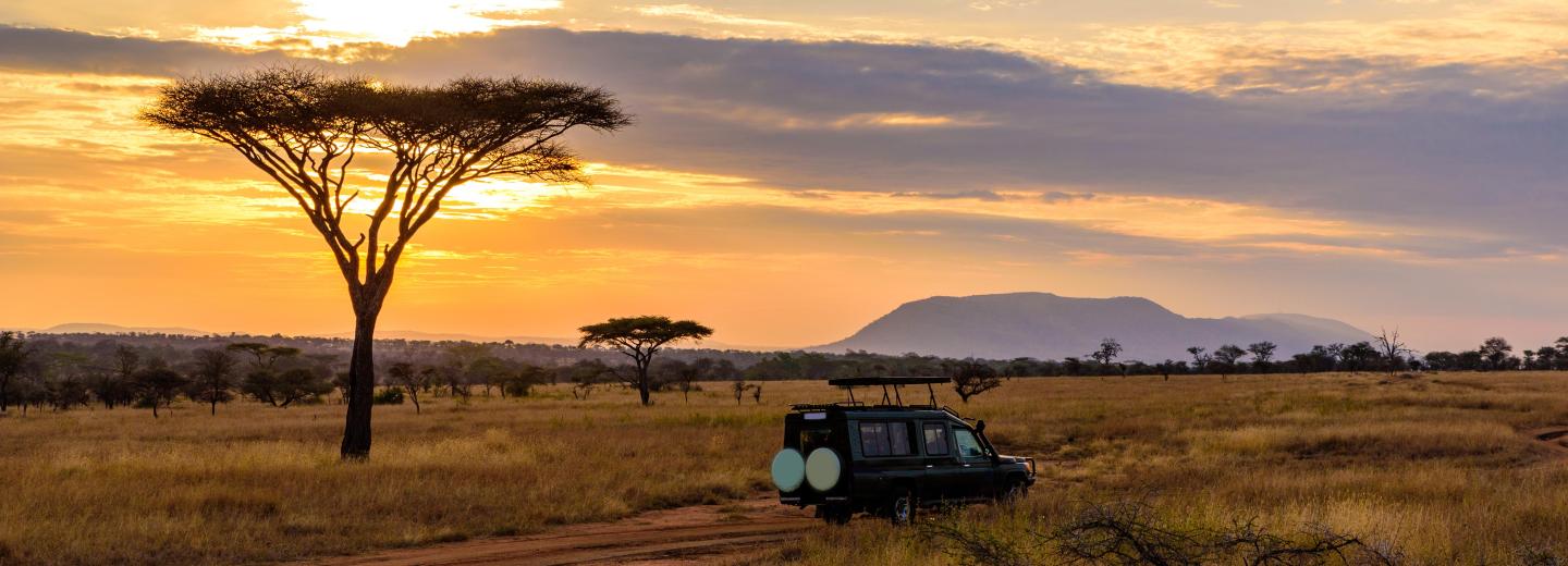 Kruger - Nationalpark