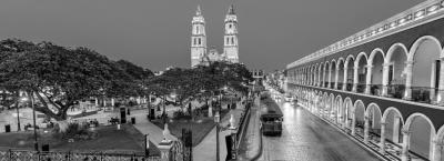 9835636/campeche-adobestock-282219129_1773674567348.jpeg