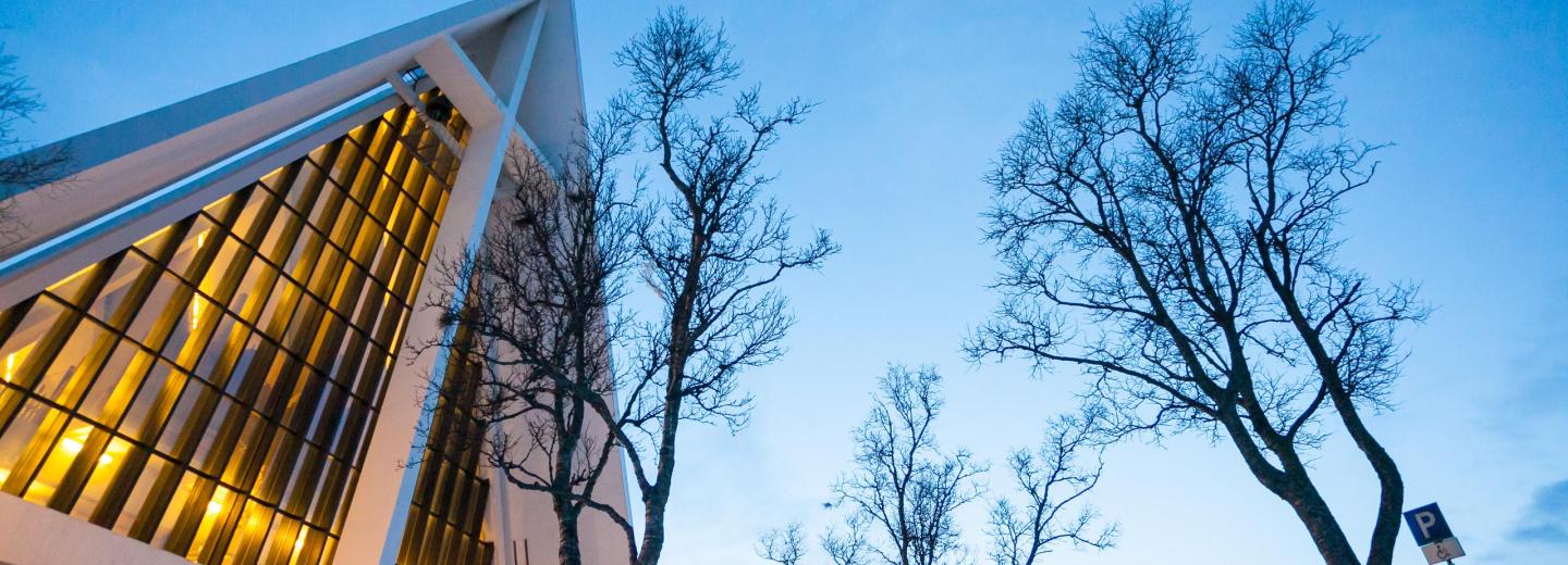 Az északi fény varázsa Tromsøben