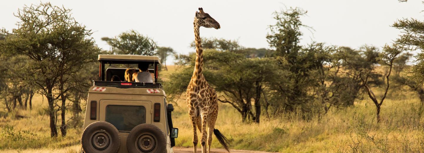 Sansibar & Selous - Safari & Baden