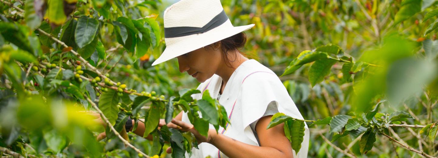 Kolumbia - körutazás és fürdőzés