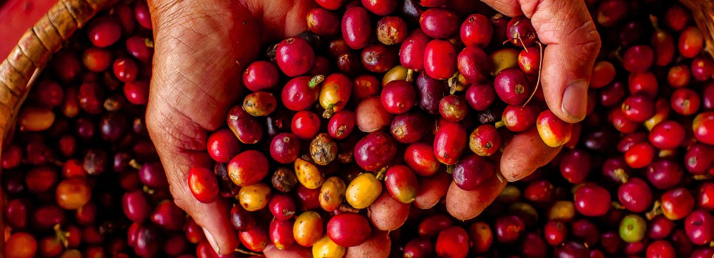 Kolumbia - körutazás és fürdőzés