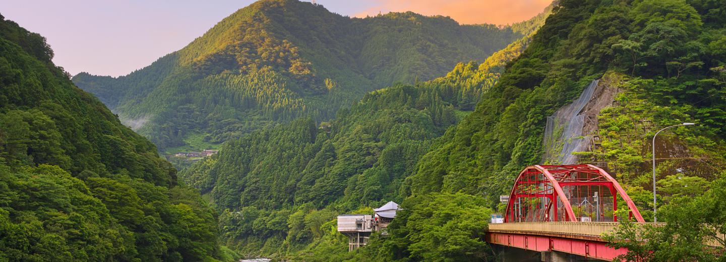 Japan zur Kirschblüte - Kreuzfahrt