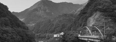 9836119/adobestock-1214959636-tokushima_1774274680709.jpeg