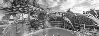 9836119/adobestock-189481915-beppu_1774274617836.jpeg