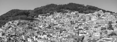 9836119/adobestock-1930001378-busan_1774274525008.jpeg