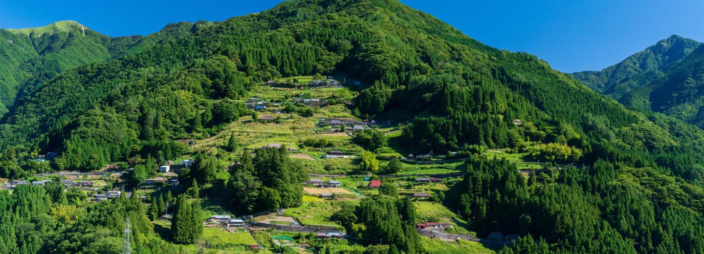 Japan zur Kirschblüte - Kreuzfahrt