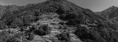 9836119/adobestock-375013582-tokushima_1774274703476.jpeg