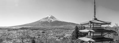 9836119/adobestock-690954909-tokio_1774274443940.jpeg