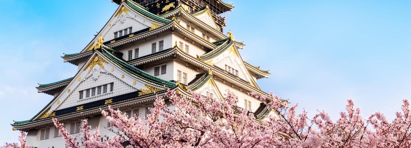 Japan zur Kirschblüte - Kreuzfahrt