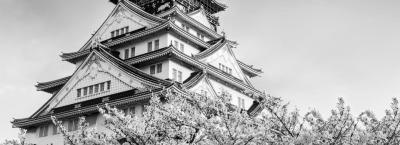 9836119/adobestock-83593043-osaka_1774274058071.jpeg