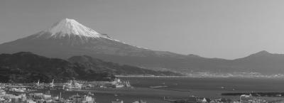 9836119/adobestock-95223143-shimizu_1774274718035.jpeg