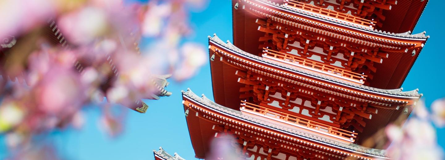Japan zur Kirschblüte - Kreuzfahrt