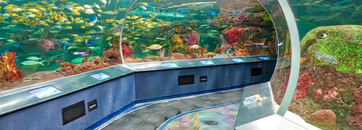 Ripley's Aquarium of Canada