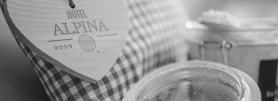 9836231/detailaufnahme-hotel-alpina_1774358280128.jpg