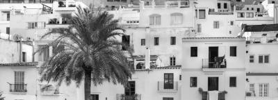 9836296/adobestock-459930217-ibiza-2_1774363395383.jpeg
