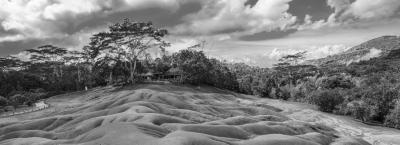 9836340/adobestock-193607695-mauritius_1774941748038.jpeg
