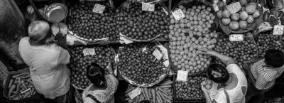 9836340/adobestock-220673048_1775056367710.jpeg