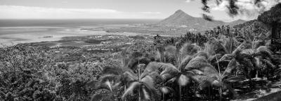 9836340/adobestock-239879481_1775056396026.jpeg