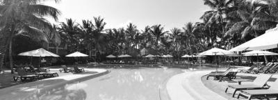 9836340/swimming-pool-3_1776325453013.jpg