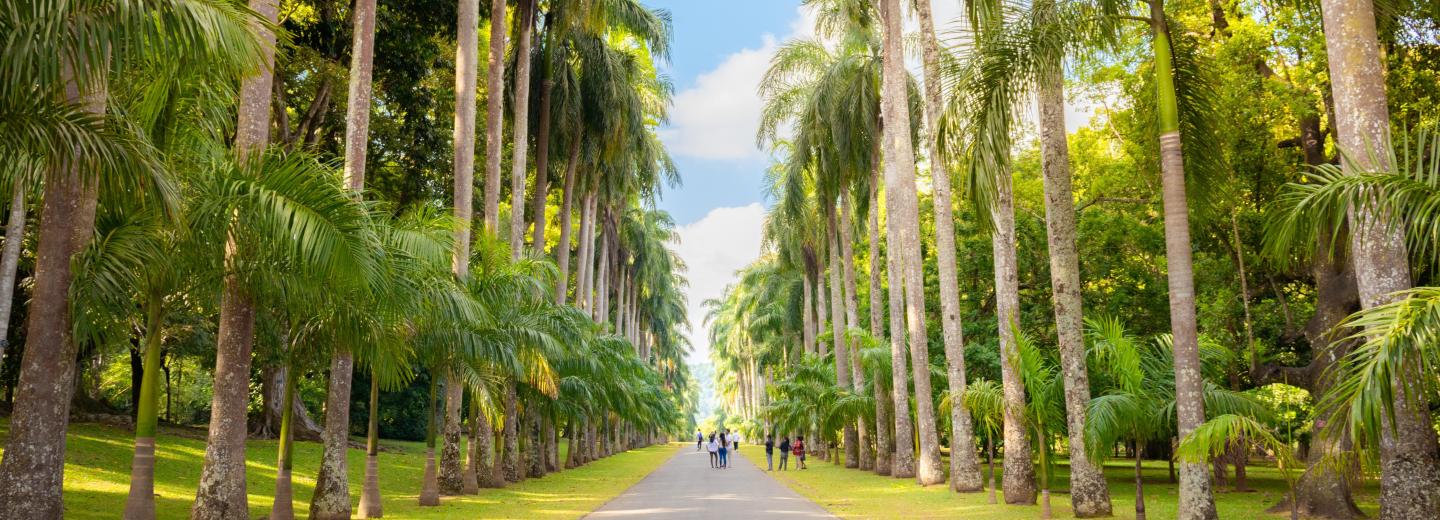 Srí Lanka és a Maldív-szigetek - körutazás és fürdőzés