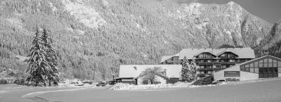 9836777/vitalhotel-gosau-391004066-071223-50197-4_1774730101005.jpg