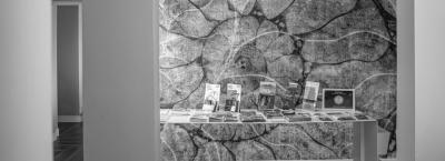 9836968/aparthotel-touring-grado-140121-23302-5_1775820524986.jpg