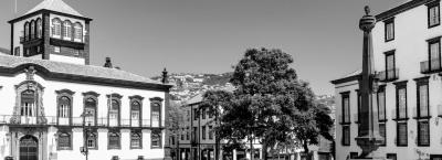 9837184/adobestock-163968843-madeira_1775120012072.jpeg