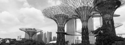 9837184/adobestock-61769072-singapur_1775119937251.jpeg