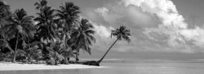 9837184/cookinseln-adobestock-1513259336_1775119875132.jpeg