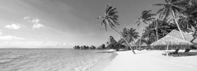 9837184/malediven-adobestock-190926061_1775119948813.jpeg