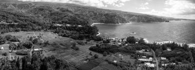9837184/maui-adobestock-194216515_1775119833936.jpeg
