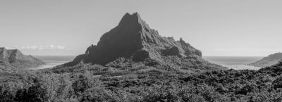 9837184/moorea-adobestock-80024156_1775119844585.jpeg