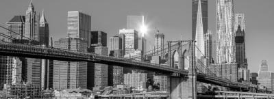 9837184/new-york-adobestock-127939745_1775117849519.jpeg