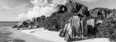 9837184/seychellen-adobestock-321913903_1775119961448.jpeg
