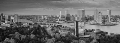 9837432/adobestock-119132666-rotterdam_1774869666242.jpeg