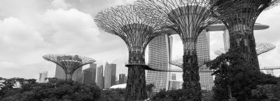 9837855/adobestock-61769072-singapur_1775138496482.jpeg
