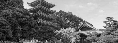 9839154/adobestock-818988641-fukuoka_1775631569903.jpeg