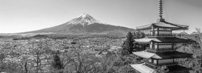 9839165/adobestock-690954909-tokio_1775653734058.jpeg