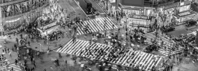9839165/adobestock-85603973-zebrastreifen-tokio_1775653825767.jpeg