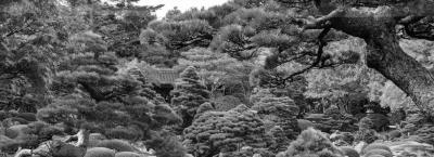 9839165/japanischer-garten-adobestock-797647436_1775654945857.jpeg