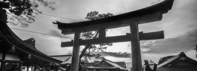 9839165/kyoto-schreinadobestock-84609315_1775655735595.jpeg