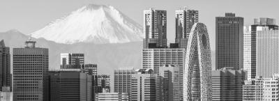 9839165/skyline-tokyo-mit-fuji-adobestock-187432303_1775654763622.jpeg