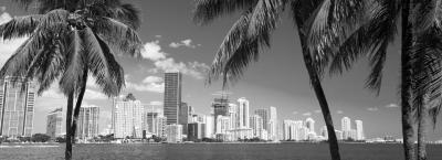9840232/adobestock-233039700-miami_1776150992339.jpeg