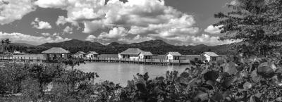 9840232/amber-cove-adobestock-231785992_1776075444999.jpeg